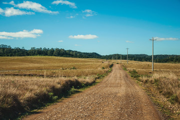 Fototapeta na wymiar Dirt road on rural lowlands called Pampas