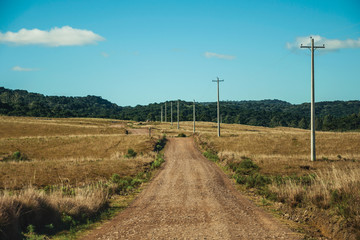 Fototapeta na wymiar Dirt road on rural lowlands called Pampas