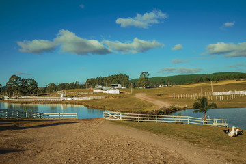 Pretty farm with fences, livestock sheds and lake
