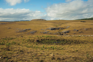 Landscape of rural lowlands called Pampas