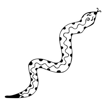 Black-white snake with protruding forked tongue. Isolated coloring book with patterned wriggling reptile. Hand-drawn illustration with monochrome scaly animal. Vector.