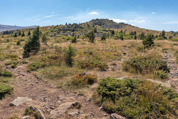 Autumn view of Vitosha Mountain, Bulgaria