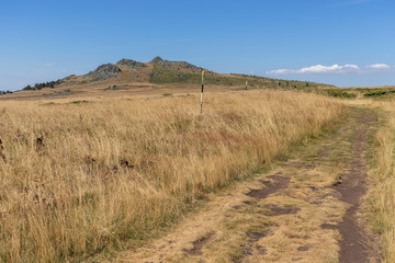Autumn view of Vitosha Mountain, Bulgaria