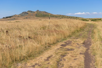 Autumn view of Vitosha Mountain, Bulgaria