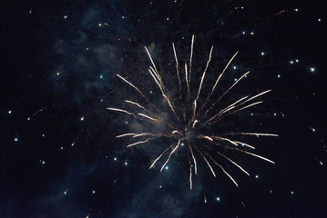 A flash of fireworks against a dark sky.