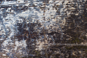 texture of dark wood, background