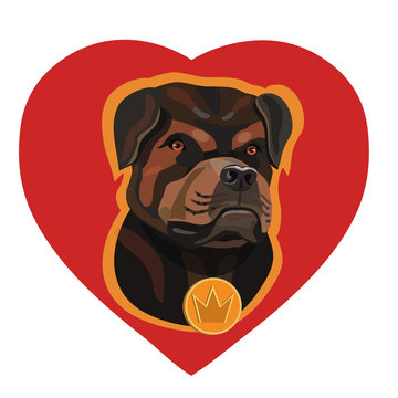 Love for dogs Rottweiler depicted heart they are good friends and protectors and will always come to the aid of people!