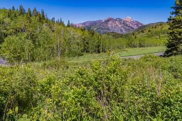 Rocky Mountains, Wasatch Range, Mount Timpanogos wilderness area, Utah, USA.