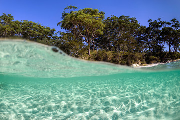 Underwater paradise, Jervis Bay, Australia