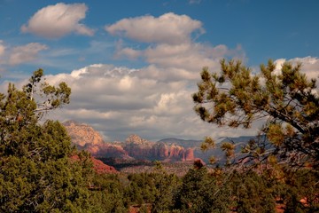 View from the trees in Sedona Arizona