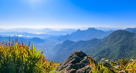 landscape of Phu Chi Fa  mountain area and national forest park in Thailand