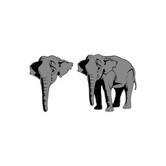 Elephant. Monochrome logo