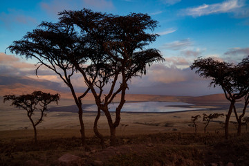 Fototapeta na wymiar アフリカ・タンザニアのンゴロンゴロ保全地域