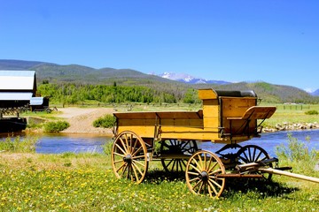 Fototapeta na wymiar old wagon in a field