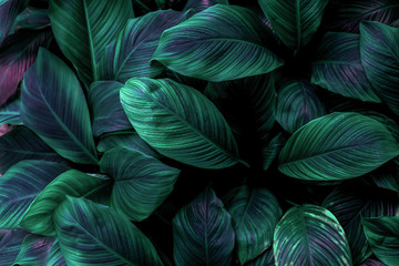 Obraz na płótnie Canvas seamless pattern with leaves