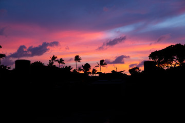 Fototapeta na wymiar Sunset at Honolulu Zoo