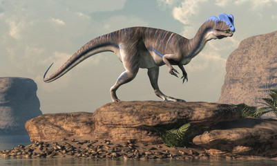 Dilophosaurus was a theropod dinosaur of the early Jurassic period in North America. A predator, it's named for the two crests on its head. Depicted near an arid lake. 3D Rendering 