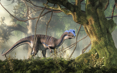 Dilophosaurus was a theropod dinosaur of the early Jurassic period in North America. A predator, it's named for the two crests on its head. Depicted in a jungle. 3D Rendering 