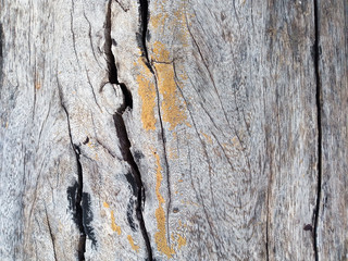 Vintage surface wood table and rustic texture background