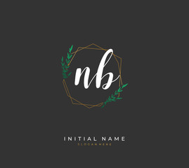 Handwritten letter N B NB for identity and logo. Vector logo template with handwriting and signature style.