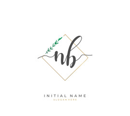 Handwritten letter N B NB for identity and logo. Vector logo template with handwriting and signature style.
