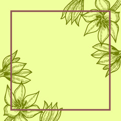 light green card or invitation with hand drawn flowers, botany vector, with space for text