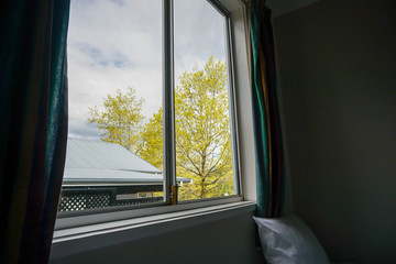 Looking out the window to see the mountain trees