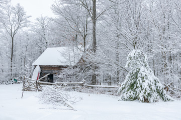 Fototapeta na wymiar Beautiful Winter scene log building landscape