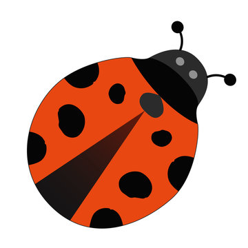  Cute cartoon red ladybird Eps-10 vector illustration. Hand drawing design on isolated white background.