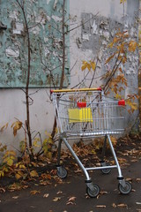 Корзинка из супермаркета