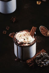 Vintage mug of hot chocolate with cinnamon sticks and marshmallows on dark background