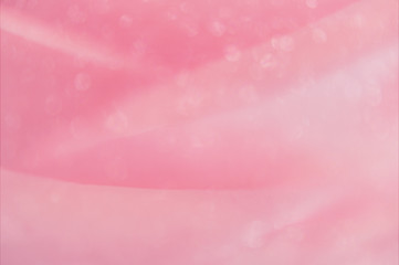 Macro photograph of pink rose petals with  attractive light bokeh and soft, natural lines, creating a pretty, bubbly, girly look for a background.