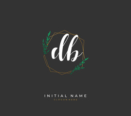 Handwritten letter D B DB for identity and logo. Vector logo template with handwriting and signature style.
