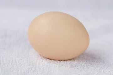An egg on a white background