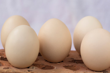 eggs