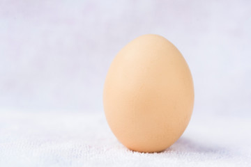 An egg on a white background