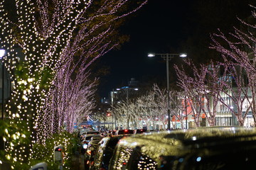 Christmas lights and  illumination on the Omotesando road, Harajuku, Shibuya, Tokyo, Japan in 2019