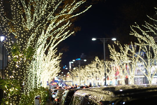 Christmas lights and  illumination on the Omotesando road, Harajuku, Shibuya, Tokyo, Japan in 2019