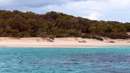 Fototapeta na wymiar People snorkeling on a shallow coral reef near a sand island