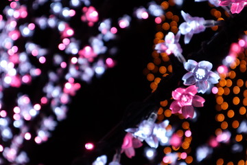 光のお花