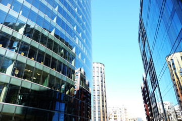 Fototapeta premium modern business center with big glass wnindows, summer day