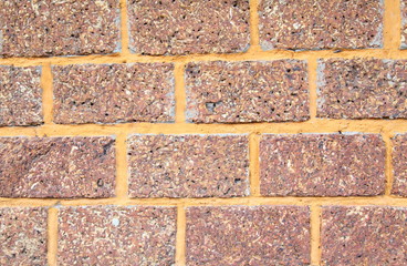 Abstract old brick wall in background. 