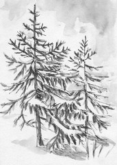 Christmas trees sketch