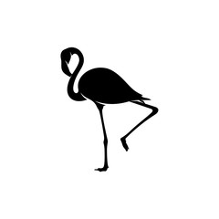 Flamingo design vector, Black silhouette of a flamingo bird, standing on one leg, isolated.