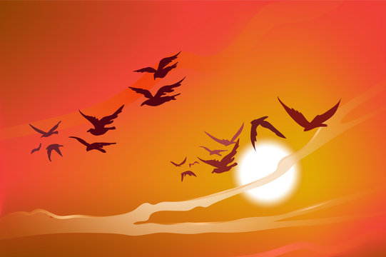 Sunset image with a flock of birds flying.Vector landscape illustration.