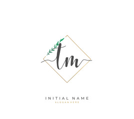 Handwritten letter T M TM for identity and logo. Vector logo template with handwriting and signature style.