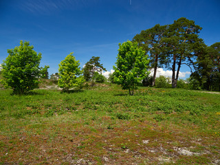 Landschaft im NSG  Sodenberg in der Vorderrhön bei Hammelburg, Landkreis  Bad Kissingen, Unterfranken, Franken, Bayern, Deutschland