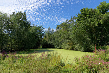Pond in the Sologne country 