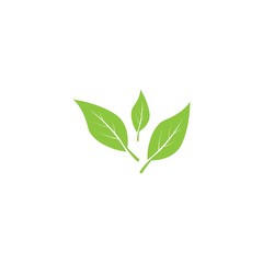 Fototapeta premium Vegan icon Vector Illustration design Logo