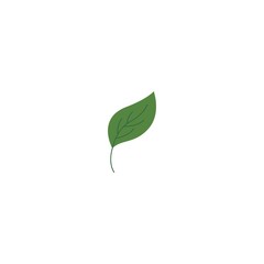 Green leaf logo